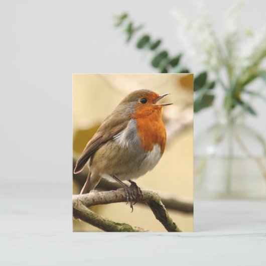 Singing Robin Briefkaart (Staand voorkant)