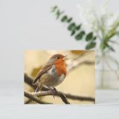 Singing Robin Briefkaart (Staand voorkant)