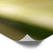 Singing Robin Poster (Hoek)