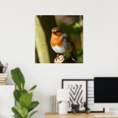 Singing Robin Poster (Thuiskantoor)