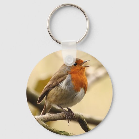 Singing Robin Sleutelhanger (Voorkant)