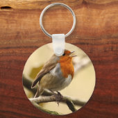 Singing Robin Sleutelhanger (Voorkant)