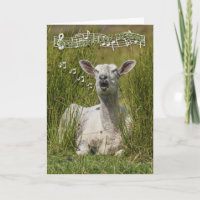Singing Sheep Birthday Wenskaart, Happy Birth