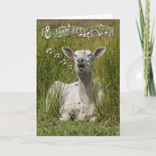 Singing Sheep Birthday Wenskaart, Happy Birth Kaart