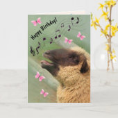 Singing Sheep Happy Birthday Kaart (Gele Bloem)