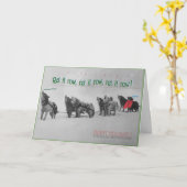 Singing Sled Dogs: Sitka Alaska Malamute Choir Kaart (Gele Bloem)