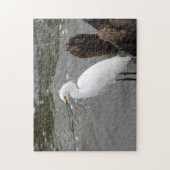 Singing Snowy Egret Legpuzzel (Verticaal)