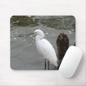 Singing Snowy Egret Muismat (Met muis)