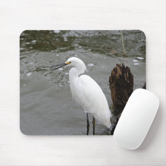 Singing Snowy Egret Muismat (Met muis)