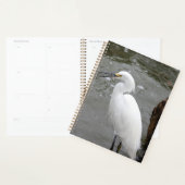 Singing Snowy Egret Planner (Display)