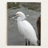 Singing Snowy Egret Planner (Voorkant)