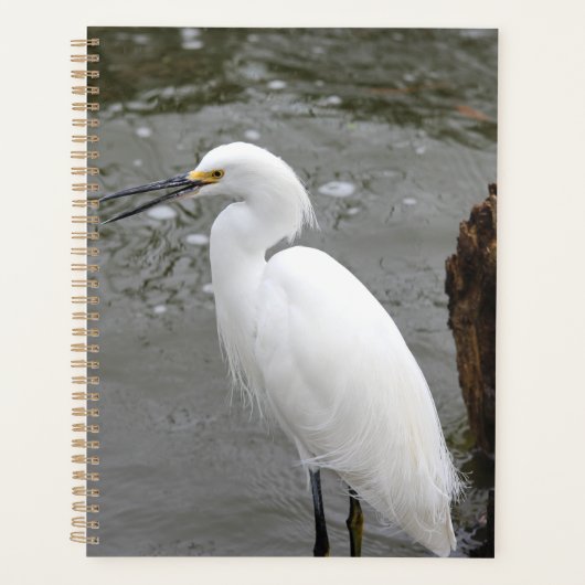 Singing Snowy Egret Planner (Voorkant)