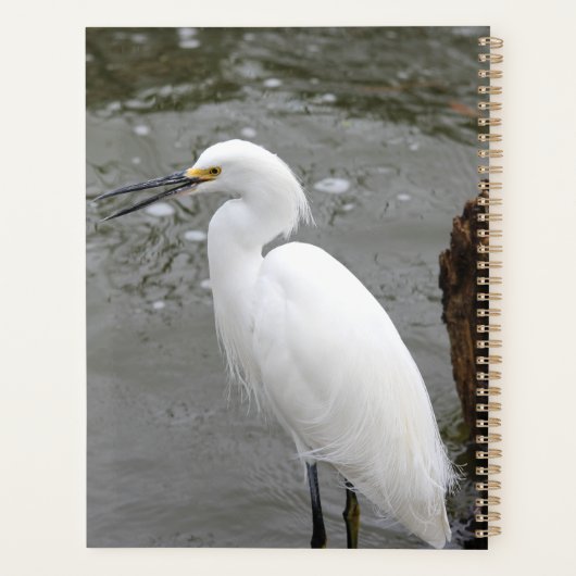 Singing Snowy Egret Planner (Achterkant)