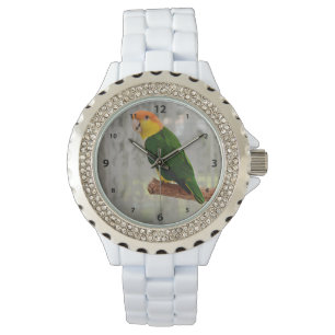 Singing White Bellied Caique Parrot Horloge