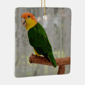 Singing White Bellied Caique Parrot Keramisch Ornament (Rechts)