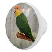 Singing White Bellied Caique Parrot Keramische Knop (Rechts)