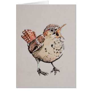 Singing Wren Illustration