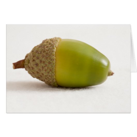 Single Acorn met Bovenkant (Voorkant Horizontaal)