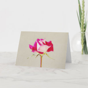 Single Artsy Pink Rose Art Note Kaart