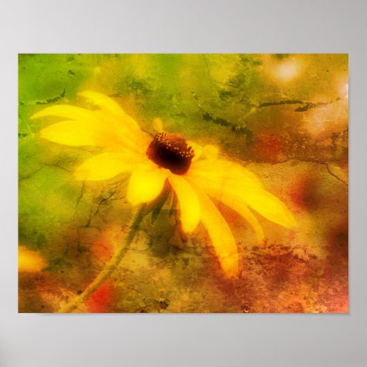 Single Black Eyed Susan Daisy Abstract Grunge Poster (Voorkant)