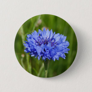 Single Blue korenbloem in groen Engels Meadow Ronde Button 5,7 Cm