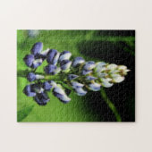 Single Blue Lupine Flower Orton effect Legpuzzel (Horizontaal)