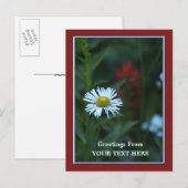 Single Blue-White Daisy Greetings Briefkaart (Voorkant / Achterkant)