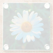 Single Bright Daisy Glazen Onderzetter (Achterkant)