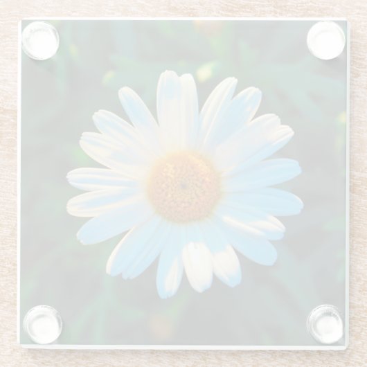 Single Bright Daisy Glazen Onderzetter (Achterkant)