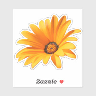 Single Bright Sinaasappel Cape Daisy Sticker