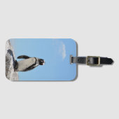 Single Cute Penguin en Blue Sky Bagagelabel (Voorkant (horizontaal))