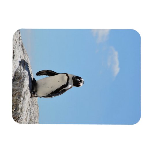 Single Cute Penguin en Blue Sky Magneet (Horizontaal)