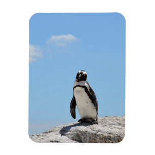 Single Cute Penguin en Blue Sky Magneet