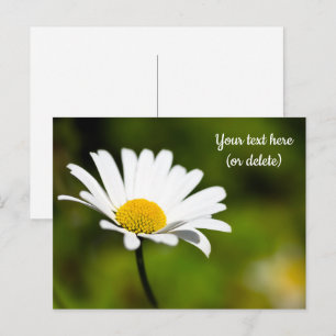 Single Daisy Briefkaart