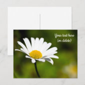 Single Daisy Briefkaart (Voorkant / Achterkant)