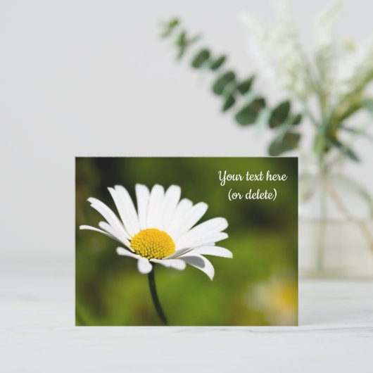 Single Daisy Briefkaart (Staand voorkant)
