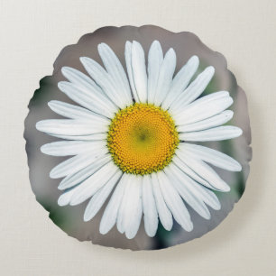 Single Daisy Flower Round Pillow Rond Kussen