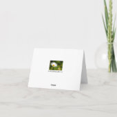 Single Daisy Wenskaart Kaart (Achterkant)