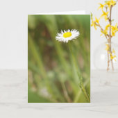 Single Daisy Wenskaart Kaart (Gele Bloem)