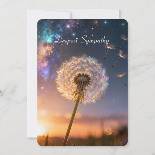 Single dandelion head with its seeds, sunset (Voorkant)