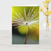 Single Dandelion Seed Poetry of Nature Kaart (Gele Bloem)