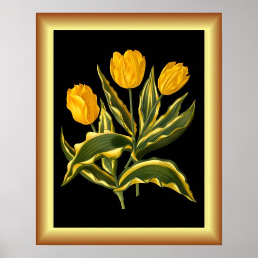 Single Early Tulip Yellow ~ Botanische Art Print ~ (Voorkant)