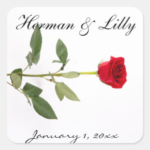 Single Elegant Long Stem Red Rose - op maat gemaak Vierkante Sticker