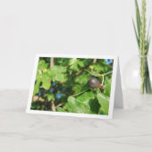 Single Fig in structuurportret Kaart (Voorkant)