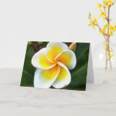 Single Frangipani Blossom Realism Art Kaart (Gele Bloem)