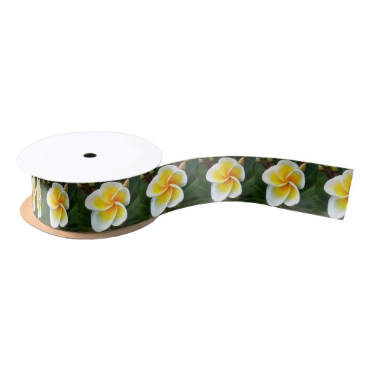 Single Frangipani Blossom Realism Art Satijnen Lint (Spoel)