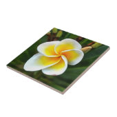 Single Frangipani Blossom Realism Art Tegeltje (Zijkant)