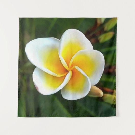 Single Frangipani Blossom Realism Art Wandkleed (Voorkant (horizontaal))