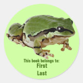 Single Green Kikker bij Rest Fotograaf op maat Ronde Sticker (Voorkant)