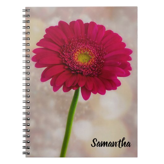 Single Hot Pink Gerbera Spiral notitieboek (Voorkant)